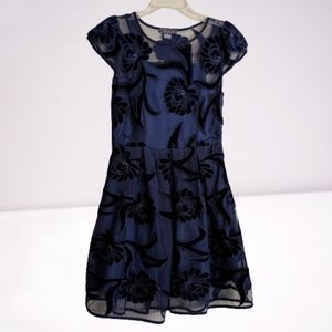 Gracia Dress Navy Blue Velvet Floral Sheer Mesh Pleated Silver Metallic Thread